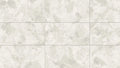 Ceppo White 24x48 Matte Porcelain Tile