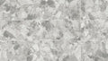 Ceppo Stone 24x48 Matte Porcelain Tile
