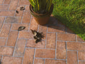 Chicago Old Chicago 4x8 Porcelain Tile