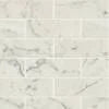 Classic 2.0 Bianco Carrara 2x6 Marble Mosaic