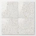 Classico 24x24x1/2 Polished Marble Tile close-up