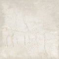 Climb 10 Bianco 32x32 Porcelain Tile
