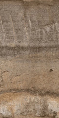 Climb Noce 12x24 Porcelain Tile
