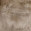 Climb Noce 32x32 Porcelain Tile