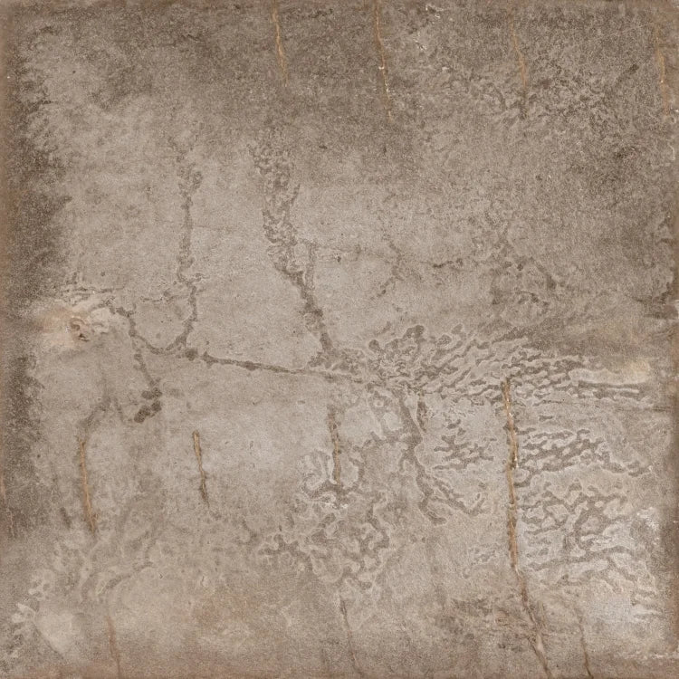 Climb Noce 32x32 Porcelain Tile