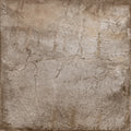 Climb Noce 32x32 Porcelain Tile