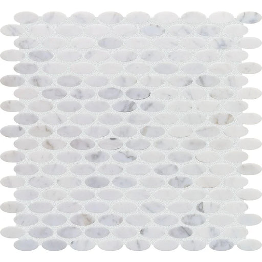 Completa Marble Series Bianco Venatino Ellipse Honed Marble Mosaic