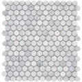 Completa Bianco Venatino Honed 3/4 Penny Round Marble Mosaic