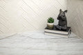 Concerto Pearl 1/2x9-3/4 Pencil Bullnose Matte Porcelain Trim