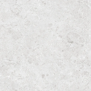 Coralstone Bianco 24x48 Rectified Porcelain Paver