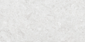 Coralstone Bianco 24x48 Rectified Porcelain Paver