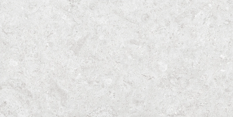 Coralstone Bianco 24x48 Rectified Porcelain Paver