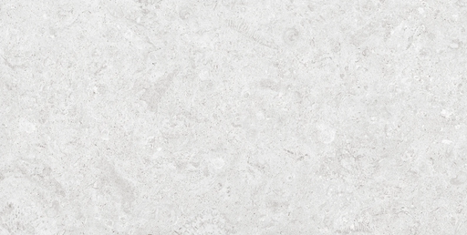 Coralstone Bianco 24x48 Rectified Porcelain Tile