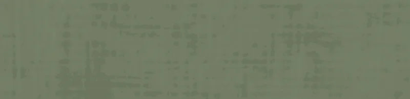 Cosmopolitan Safari Green Deco 04x16 Gloss Ceramic Wall Tile