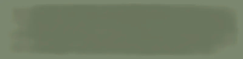 Cosmopolitan Safari Green Deco 04x16 Gloss Ceramic Wall Tile