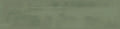 Cosmopolitan Safari Green Deco 04x16 Gloss Ceramic Wall Tile