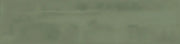 Cosmopolitan Safari Green Deco 04x16 Gloss Ceramic Wall Tile