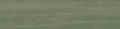 Cosmopolitan Safari Green Deco 04x16 Gloss Ceramic Wall Tile