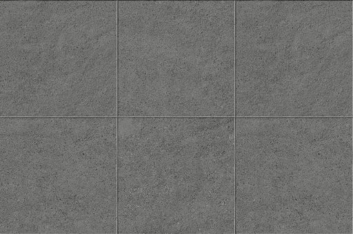 Cosmos Gray 24x24 Natural Porcelain Paver