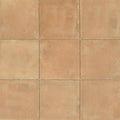 Cotto Nature Cerdena 14.25x14.25 Field Gloss Ceramic Tile