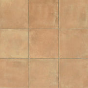 Cotto Nature Cerdena 14.25x14.25 Field Gloss Ceramic Tile