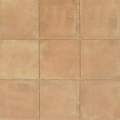 Cotto Nature Cerdena 14.25x14.25 Field Gloss Ceramic Tile