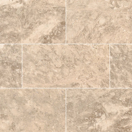 Crema Cappuccino 12x24 Polished Marble Tile