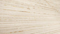 Cremabella 11.8x35.4 Matte Porcelain Tile
