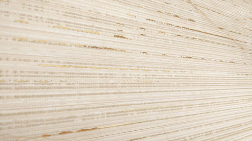 Organza 11.8x35.4 Porcelain Tile