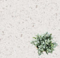 Crezzo White 12x24 Matte Porcelain Tile