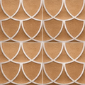 Curve Series Cotto 8x8 Porcelain Tile