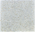 Daisy Wild Calacatta Gold 12.75x13.25 Mosaic