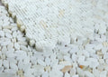 Daisy Wild Calacatta Gold 12.75x13.25 Mosaic