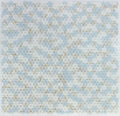 Daisy Wild Marina 2x2 Marble Mosaic