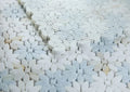 Daisy Wild Marina 2x2 Marble Mosaic