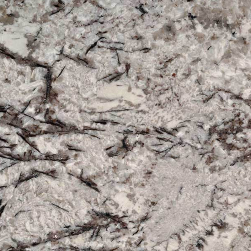 Close-up of Delicatus White granite with a pale background and branching dark veins.