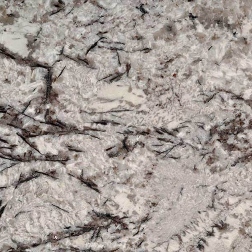 Close-up of Delicatus White granite with a pale background and branching dark veins.
