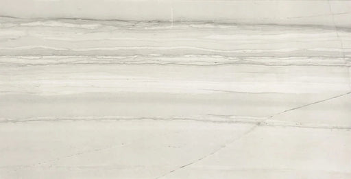 Demira Light Grey 12x24 Polished Porcelain Wall & Floor Tile