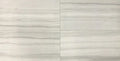 Demira Light Grey 12x24 Polished Porcelain Wall & Floor Tile