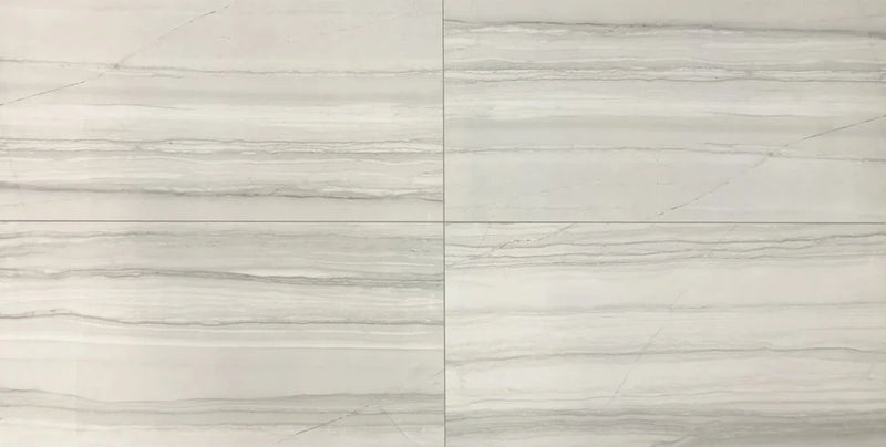 Demira Light Grey 12x24 Polished Porcelain Wall & Floor Tile