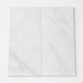 Dolamiti Ice 12x24 Polished Marble Tile close-up