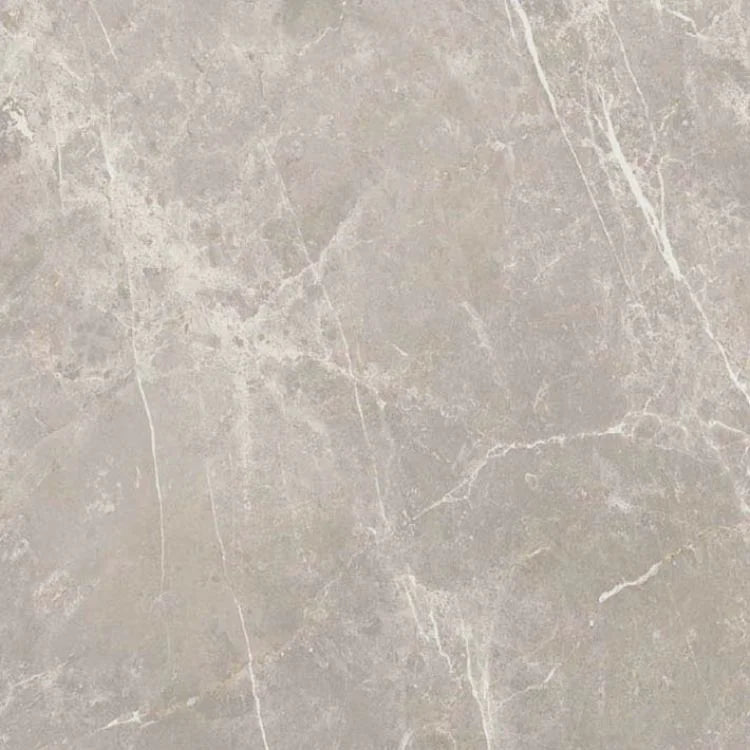 Dolomia Grey 24x24 Polished Stone Look Porcelain Tile
