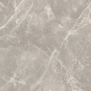 Dolomia Grey 24x24 Polished Stone Look Porcelain Tile