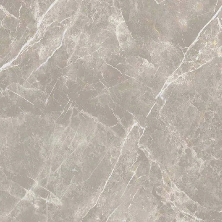 Dolomia Grey 24x24 Polished Stone Look Porcelain Tile