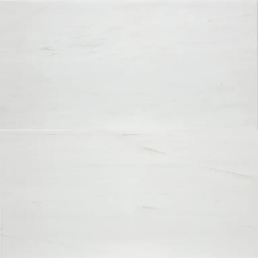 Dolomite White 12x24 Polished Marble Tile