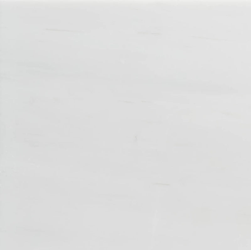 Dolomite White 8 Inch Hexagon Honed Marble Mosaic