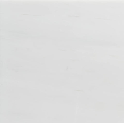 Dolomite White 8 Inch Hexagon Honed Marble Mosaic