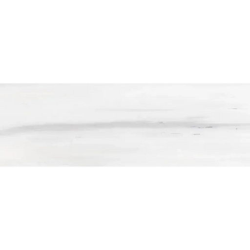 Dolomite White Large Chevron Honed Marble Mosaic