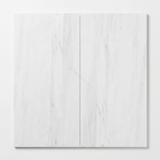 Dolomite White Marble Tile 12x24 Honed close-up
