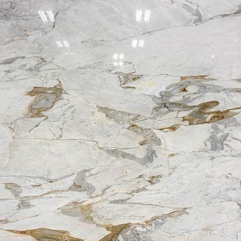 Dolomiti Michelangelo dolomite slab close-up with gray and golden brown veins on a white background.